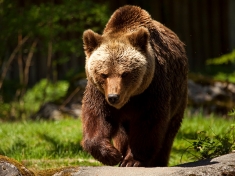 Tierpark Hellabrunn