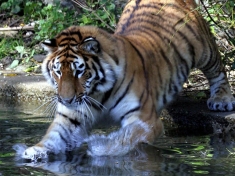 Tierpark Hellabrunn Deutschland