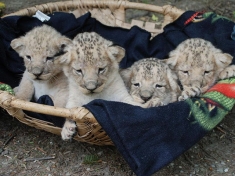 Tierpark Stadt Haag
