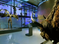 Museum Enschede