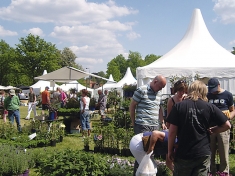 Beurs Oldeberkoop