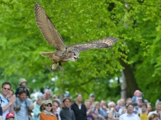 Wildpark Müden Deutschland