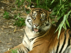 Zoo Stuttgart