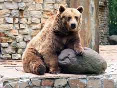 Zoo Augsburg
