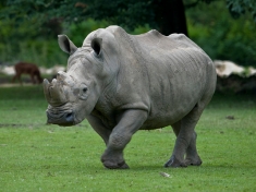 Zoo Augsburg Deutschland