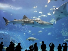 Zoo Berlin