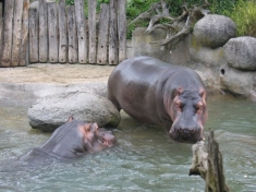 Zoo Karlsruhe