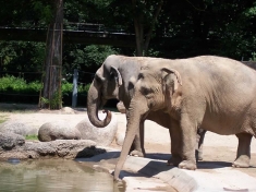 Zoo Karlsruhe (stad)