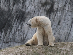 Zoo Karlsruhe Deutschland