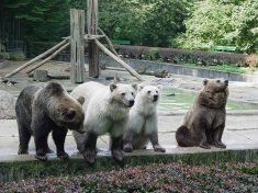 Zoo Osnabrück