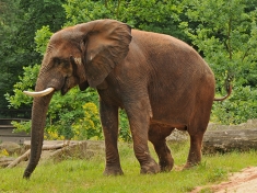 Zoo Rostock
