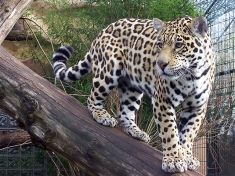 Zoo Saarbrücken