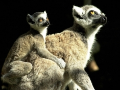 Zoo Saarbrücken