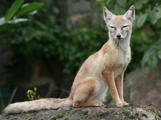 Zoo Saarbrücken Deutschland
