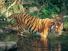 Zoo Salzburg