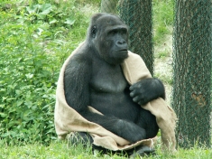 Zoo Schmiding