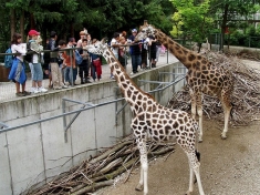 Zoo Schmiding Österreich