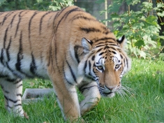 Zoo Schwerin