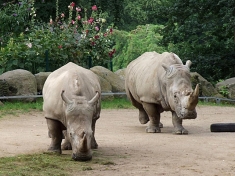 Zoo Schwerin