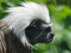 Zoo Wingst Deutschland