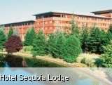 Disney's Hotel Sequoia Lodge