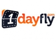 logo 1dayfly
