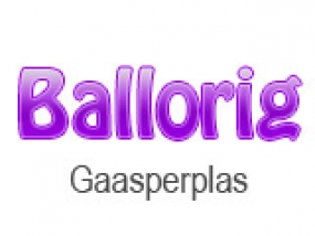 logo Ballorig Gaasperplas