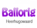 Win 4 gratis Ballorig Heerhugowaard kaartjes