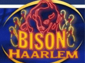 logo Bison Bowling Haarlem