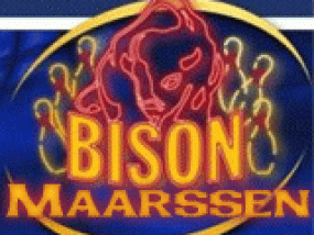 logo Bison Bowling Maarssen