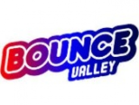 logo Bounce Valley