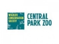 Bied op dierentuin tickets zoals bijv. Central Park Zoo. Ontdek Beschikbaarheid!