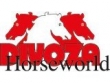 logo Divoza Horse World