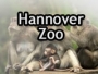 logo Zoo Hannover