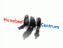 logo Hunebedcentrum