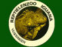logo Iguana