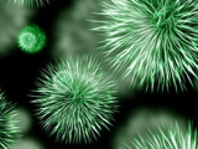 logo Artis Micropia