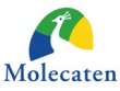 logo Molecaten Park Van Iterson