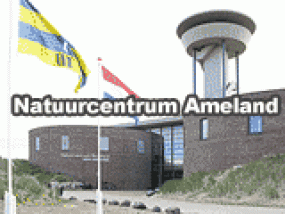 logo Natuurcentrum Ameland