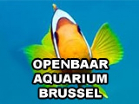 logo Openbaar Aquarium Brussel