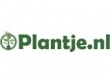 logo Plantje