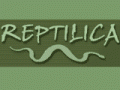 Per Direct Korting op Reptilica? Ontdek Beschikbaarheid nu!