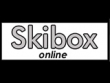 logo Skibox Online
