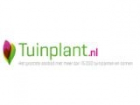 logo Tuinplant.nl