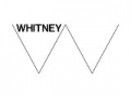 Whitney Museum of American Art Tickets: nu met 9% extra korting!