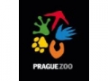 Korting op Zoo Praag of in de buurt? Ontdek Beschikbaarheid!
