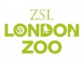 ZSL London Zoo Tickets: nu met 9% extra korting!