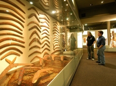 Aboriginal Museum Nederland