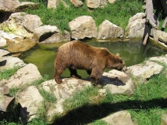 Alpenzoo Innsbruck