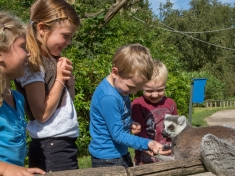 Dierentuin Leeuwarden